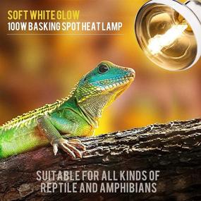 img 1 attached to 🦎 Reptile Heat Lamp Sun Light 100W Full Spectrum UVA UVB Bulb for Pet Basking - Daylight Bulb for Bearded Dragon, Lizard, Tortoise, Snake, Chameleon - Pack of 2