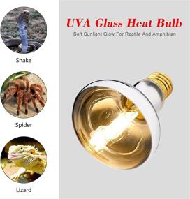 img 2 attached to 🦎 Reptile Heat Lamp Sun Light 100W Full Spectrum UVA UVB Bulb for Pet Basking - Daylight Bulb for Bearded Dragon, Lizard, Tortoise, Snake, Chameleon - Pack of 2