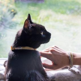 img 3 attached to 🐱 Pettsie Cat Kitten Collar: Breakaway Safety & Friendship Bracelet Combo | Durable 100% Cotton | Easy Adjustable | D-Ring for Accessories | Gift Box Included