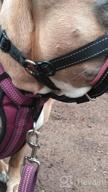 img 1 attached to Say Goodbye To Pulling With GoodBoy Dog Head Halter - Safety Strap And Padded Headcollar For All Dog Sizes (Size 2, Black) review by Mark Tompkins