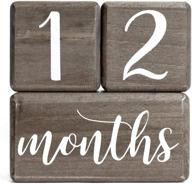 capture every moment with lovelysprouts premium age blocks – the best pregnancy gift and keepsake! logo