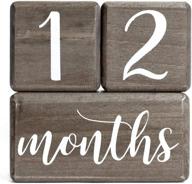 capture every moment with lovelysprouts premium age blocks – the best pregnancy gift and keepsake! логотип