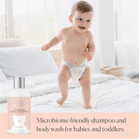 img 2 attached to Gentlest Baby Shampoo and Body Wash 2-in-1 by Little Biomes, with Organic Calendula and Rose Water, Fragrance-Free, Hypoallergenic, Microbiome-Friendly Formula (8 fl. oz.)