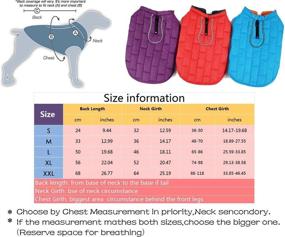 img 3 attached to 🐶 LEMONPET Reversible Reflective Waterproof Dog Jacket Coat - Winter Cold Weather Warm Vest Clothes for Small Medium Large Dogs - Pet Apparel