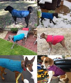 img 2 attached to 🐶 LEMONPET Reversible Reflective Waterproof Dog Jacket Coat - Winter Cold Weather Warm Vest Clothes for Small Medium Large Dogs - Pet Apparel