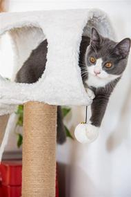 img 2 attached to 🐱 Catry Scratching Pad Cat Tree - A Cat Play House with Scratching Post, Tunnel Toys to Entice Kittens, Easy Assembly, Sturdy Cat Furniture, Cream, 24.02 Inches