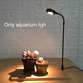 img 3 attached to Spectrum Powered Aquarium Potted Succulent Fish & Aquatic Pets : Aquarium Lights