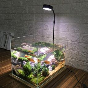 img 2 attached to Spectrum Powered Aquarium Potted Succulent Fish & Aquatic Pets : Aquarium Lights