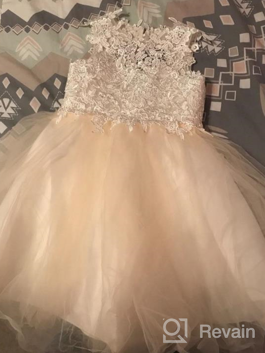 img 1 attached to 🏻 PLUVIOPHILY Miama Champagne Lace Tulle Wedding Flower Girl Dress: Perfect Junior Bridesmaid Attire review by Irma Brown