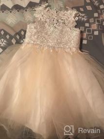 img 7 attached to 🏻 PLUVIOPHILY Miama Champagne Lace Tulle Wedding Flower Girl Dress: Perfect Junior Bridesmaid Attire