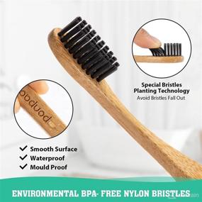 img 2 attached to Environmentally-Friendly Toothbrush with Biodegradable Bristles