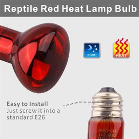 img 2 attached to Reptile Red Heat Lamp Bulb - 75W Infrared Basking Spot Light for Bearded Dragons, Geckos, Iguanas, Snakes, Ball Pythons - Nighttime Heat Light Solution