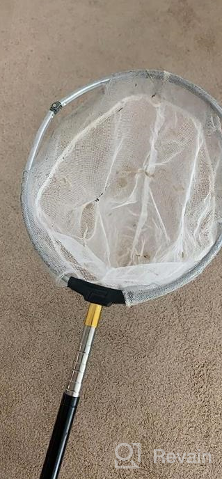 img 1 attached to 38 Inch Telescoping Handle Insect & Butterfly Net - 12" Ring, 24" Depth | RESTCLOUD review by Dallas Grover