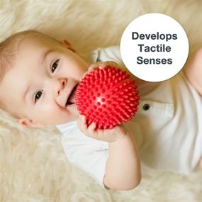 img 2 attached to Edushape Sensory Balls for Baby - 4” Solid Color Baby Balls for Enhanced Gross Motor Skills - Suitable for 6+ Months - Pack of 4 Vibrant and Textured Baby Balls