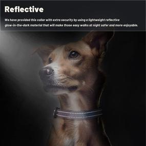 img 2 attached to Reflective Nylon Dog Collar: Adjustable & Comfortable Collar for Daily Walking, Running - Suitable for Puppy, Small, Medium, & Large Girl/Boy Pets - Heavy Duty Design