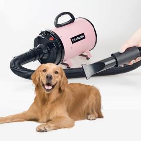 img 2 attached to Professional Pet Grooming Made Easy: CHAOLUN High Velocity Dog Dryer With Heater And Adjustable Speed - 3 Nozzles And Comb Included!