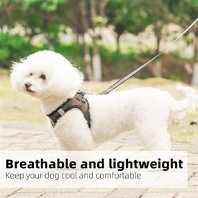 img 2 attached to 🐶 PINA No Pull Dog Harness and Leash Set - Breathable Mesh Vest for Small to Medium Dogs