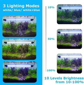 img 1 attached to 🐠 AquariumBasics 16-inch Submersible LED Aquarium Light with Timer, Dimming Function, and Auto On/Off – Ideal for Fish Tanks and Aquarium Plants (White and Blue)