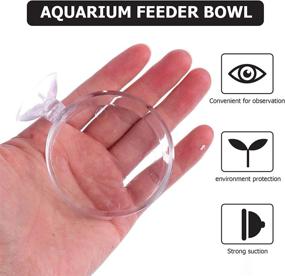 img 1 attached to Balacoo 4-Pack Transparent Acrylic Aquarium Shrimp Feeder Dishes - Fish Tank Feeding Bowls with Suction Cups, Ideal for Fish, Shrimp, and Benthic Animals