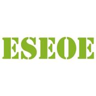 eseoe логотип