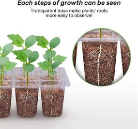 img 2 attached to Bonviee 5-Pack Seed Starter Tray Kit: 144 Cell Germination With Humidity Domes & 10 Plant Labels