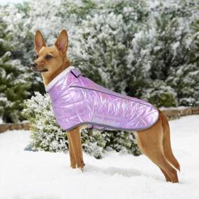 img 3 attached to HAOCOO Водонепроницаемая и ветрозащитная голографическая светоотражающая радужная зимняя куртка для собак с отверстием для поводка - Пальто и куртки для холодной погоды для маленьких, средних и крупных собак