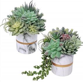 img 1 attached to 14 Pcs Artificial Succulents Plants Unpotted Green Hops String Of Pearls Echeveria Air Plant Picks Bulk For Garden Arrangement Centerpiece Indoor Outdoor Home Decor