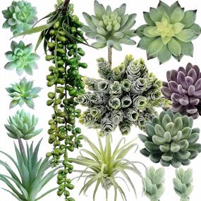 img 4 attached to 14 Pcs Artificial Succulents Plants Unpotted Green Hops String Of Pearls Echeveria Air Plant Picks Bulk For Garden Arrangement Centerpiece Indoor Outdoor Home Decor