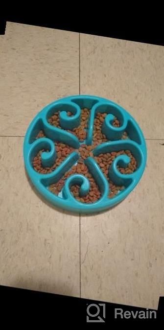 img 1 attached to Wangstar Slow Feeder Bowl For Dogs And Cats - Fun Maze Puzzle Bowl With Bloat Stop Feature, Anti-Skid Design - Blue Color, 8'' X 1.9'' Size review by Alvaro Delic