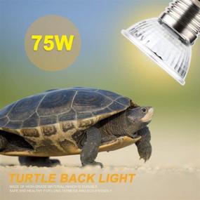 img 1 attached to 🦎 6 Pack FIVEAGE 75W UVA UVB Full Spectrum Sun Lamp for Reptiles - Ideal for Lizards, Turtles, and Snakes - Sunbathe and Heat Bulbs