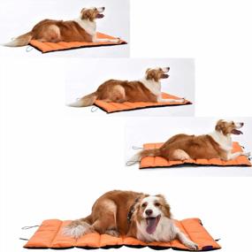 img 2 attached to Large Orange Portable Dog Pad By AmeriLuck - Anti-Slip, Waterproof, Easy-Carry Travel Pet Mat That'S Machine Washable