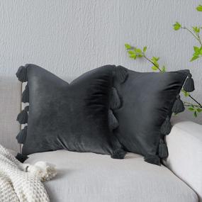 img 4 attached to Add Boho Charm To Your Home With DriftAway Velvet Pillow Covers - Modern Farmhouse Decor For Bed, Sofa And Bench. 2 Pieces, 18X18, Solid Dark Gray With Tassels