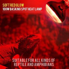 img 2 attached to 🔥 2 Pack - 100W Infrared Bulb UVA Basking Spot Heat Lamp for Reptile and Amphibian - Ideal for Bearded Dragon, Lizard, Tortoise, Snake & Chameleon - Reptile Red Light Bulb