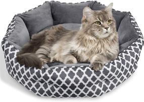 img 4 attached to 🐱 JOYO Cat Bed: 25 inch Pet Bed Machine Washable with Non-Slip Bottom for Cats & Small Dogs - Double Sided Cat Cushions Bed for Summer & Winter - Soft Round Sofa Bed for Kitties & Puppies