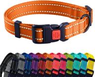 🐶 reflective dog collar with quick release buckle - orange, suitable for swimming - 18-26 inch - collardirect - for small, medium, large dogs or puppies - boy and girl - nylon logo