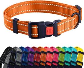 img 4 attached to 🐶 Reflective Dog Collar with Quick Release Buckle - Orange, Suitable for Swimming - 18-26 Inch - CollarDirect - For Small, Medium, Large Dogs or Puppies - Boy and Girl - Nylon