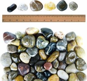 img 1 attached to 2 Lb Bag Of Polished Aquarium Gravel, Decorative Stones For Vases And Garden Rocks Outdoor Landscaping - Galashield Pebbles For Plants, River Rocks