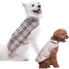 img 2 attached to SCENEREAL Reversible Windproof Waterproof Christmas Dogs and Apparel & Accessories