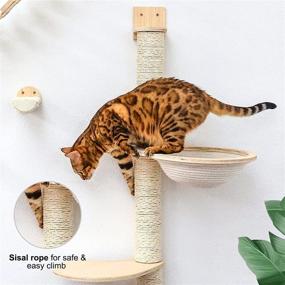 img 1 attached to 🐱 Ultimate Cat Playground: Wall Mounted Scratching Post, Shelves, Hammock, and Steps!