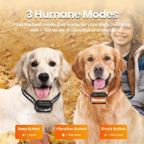 img 3 attached to 🐶 Dog Shock Collar for 2 Dogs with 3300FT Remote – Waterproof Rechargeable Shock Collar for 4 to 120 lbs – 3 Safe Training Modes: Beep, Vibration, Shock