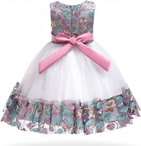 img 3 attached to Кружевное театрализованное платье для маленьких девочек 6M-9T Цветочница Свадебная вечеринка Вечерние платья
