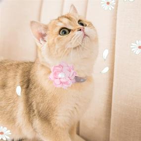 img 1 attached to 💎 IDOLPET Cat Collar: Sparkling Diamond Breakaway Collar with Bell for Cats & Small Dogs - Soft Velvet & Adjustable - Glam up your Feline!