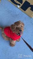 img 1 attached to Tangpan Turtleneck Classic Straw-Rope Pet Dog Sweater Apparel (Pink,S) review by Steve Atchley
