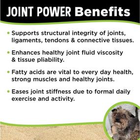 img 3 attached to Super Snouts Joint Power Support Supplement for Dogs & Cats, 2.64oz (Pack of 2) - Green Lipped Mussel Powder from New Zealand, Enhances Canine and Feline Hip and Joint Repair