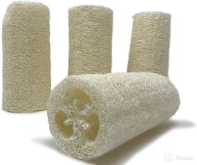 img 2 attached to 🧽 Discover the Power of Natural Exfoliating with Loofah Sponges Sponge