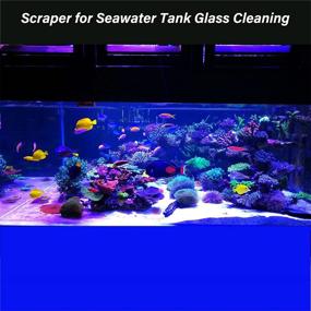 img 1 attached to SWETOR Glass Aquarium Algae Scraper - Fish Tank Cleaner with 10 Replaceable Blades & Safety Cover