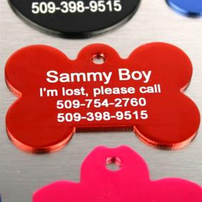 img 3 attached to 🏷️ Personalized Pet ID Tags for Dogs and Cats | Engraved on Front & Back | Anodized Aluminum, Bone Shape | Small Sizes | GoTags