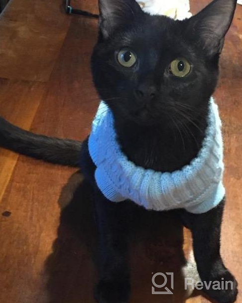 img 1 attached to Cozy Up Your Feline Friend With Our Turtleneck Cat Sweater – Perfect For Kitty, Chihuahua, Teddy, Poodle, Pug And Small Dogs! review by Ben Daugherty