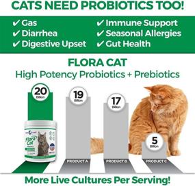 img 2 attached to 🐾 Vital Planet - Flora Cat Probiotic Powder Supplement 30 Scoops 3.92 oz - 20 Billion Cultures, 10 Strains for Digestive and Immune Support in All Cats