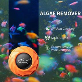 img 1 attached to 🐠 Orlushy Mini Aquarium Magnetic Brush - Glass Fish Tank Algae Cleaner for Freshwater and Saltwater - Orange, Non-Scratch Scraper